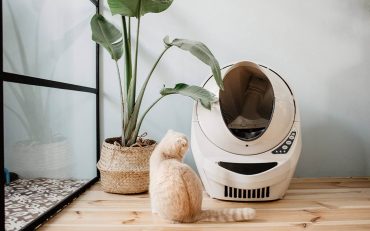 Litter-Robot-3-Cat-Companion Litter Robot 3 Cat Companion