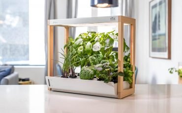 Personal Indoor Rise Garden