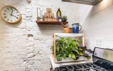 Personal Rise Garden Indoor Garden