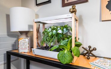 Rise Garden small tabletop garden