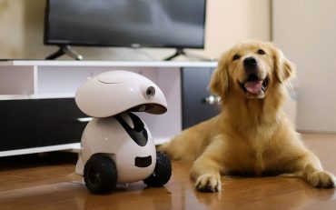 Smart Pet Companion