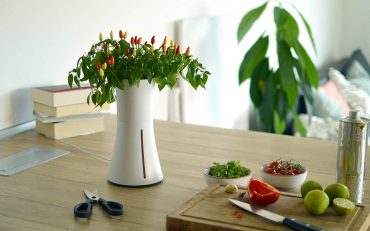 Botanium Grow Vegetables