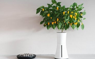 Botanium Plant Grower