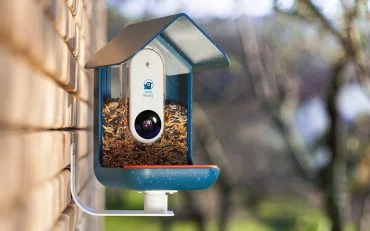 Bird Budd Bird Feeder Bird Budd Bird Feeder