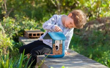 Bird Buddy Bird Buddy