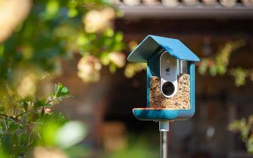 Bird Watching Gadget Bird Watching Gadget