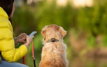 PitPat Activity Monitor PitPat Activity Monitor