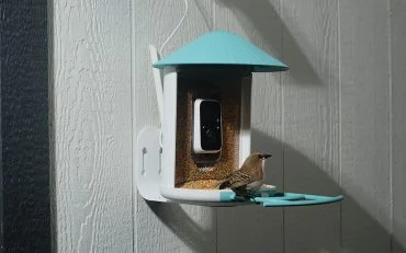Birdfy AI bird feeder Birdfy AI bird feeder