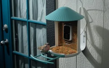 Birdfy Bird Feeder Birdfy Bird Feeder