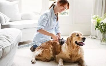 Dyson Dog Groom Tool Dyson Dog Groom Tool