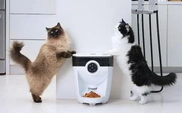 Feeder-Robot automatic pet feeder for cats and dogs Feeder-Robot automatic pet feeder for cats and dogs