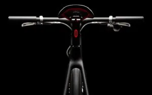 Ponomarets EIDOLON eBike Lightweight