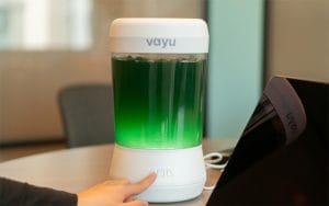 VAYU The Living Air Purifier for Fresh Greenspaces