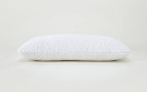 CloudSupport Pillow