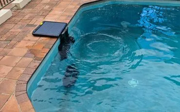 WYBOT S2 Solar Vision Robotic Pool Cleaner in Action