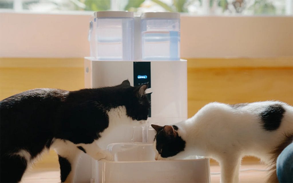 DailyFresh Pet Hydration System