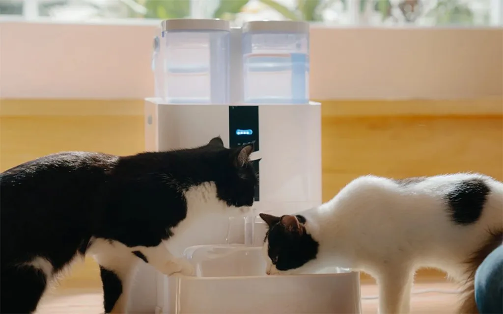 DailyFresh Pet Hydration System