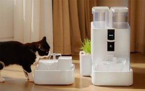 DailyFresh Transforms Pet Hydration