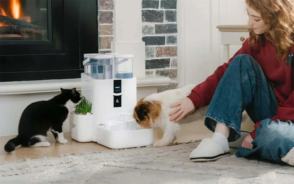 LALAHOME DailyFresh Transforms Pet Hydration